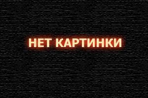 Козлитина Полина Александровна